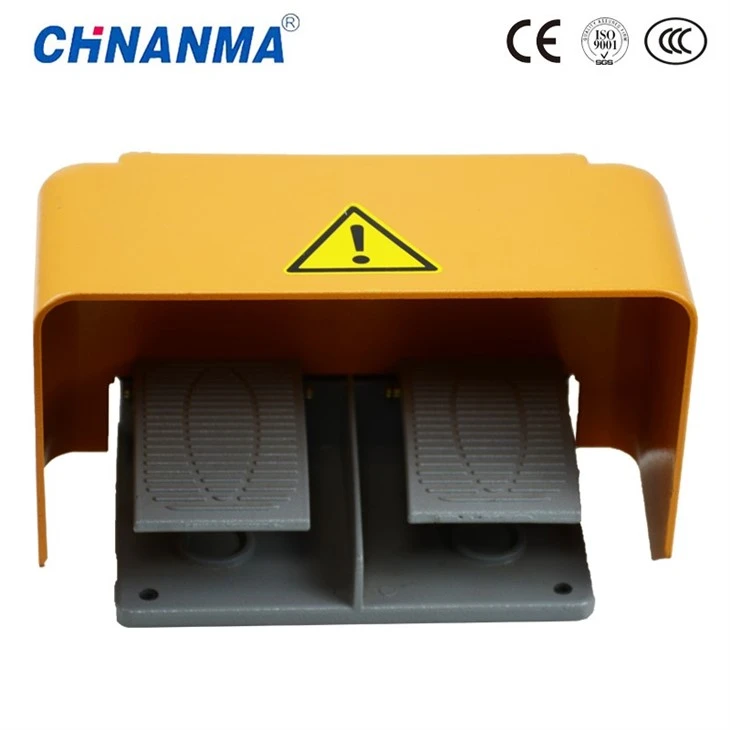 Dual Foot Switch